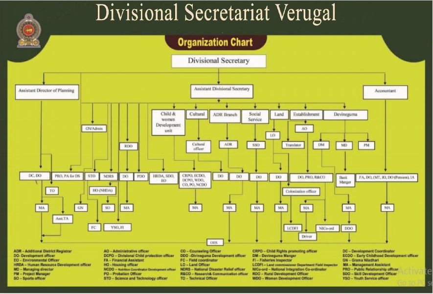 organization chart 200ppi
